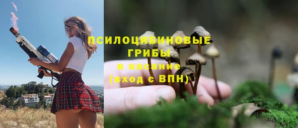 амф Красноперекопск