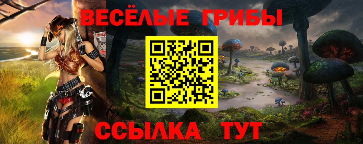 Псилоцибиновые грибы GOLDEN TEACHER Южно-Сахалинск